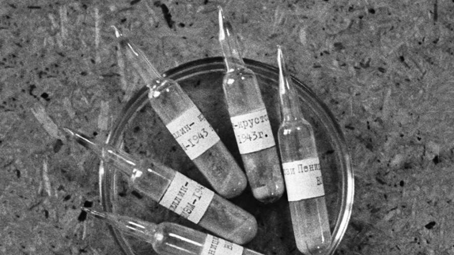 Ампулы 'Крустозина'